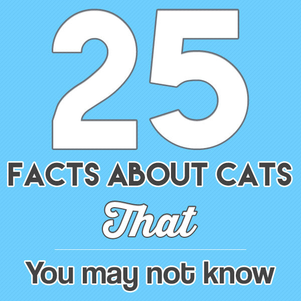25 Facts about Cats that You Might Not Know | Pakapalooza