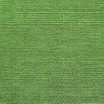 Canvas Fabric Swatch in Green | Pakapalooza