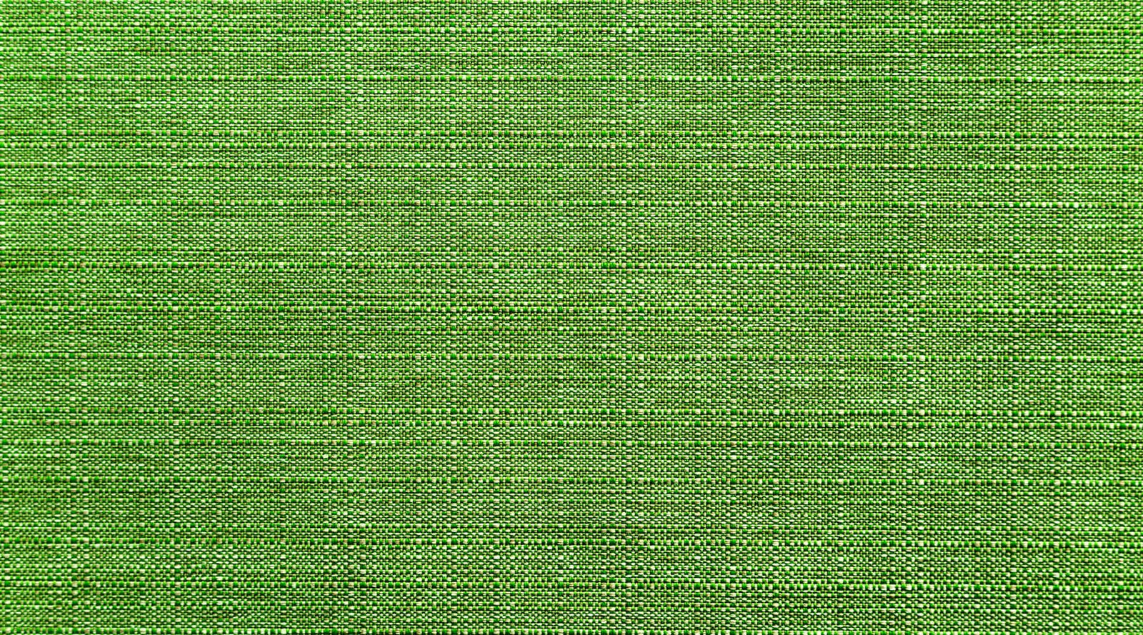 Canvas Fabric Swatch in Green | Pakapalooza