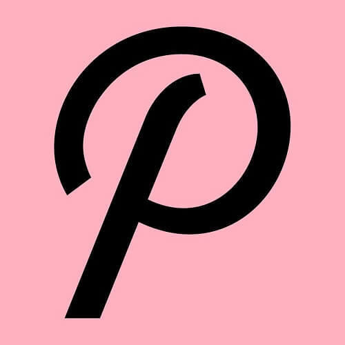 Pakapalooza Icon