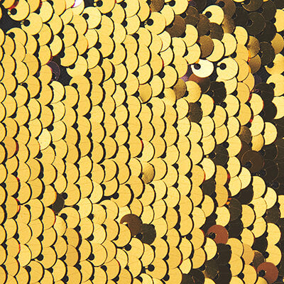 Sequin Fabric