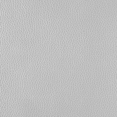 Vinyl Fabric Swatch in Gray | Pakapalooza